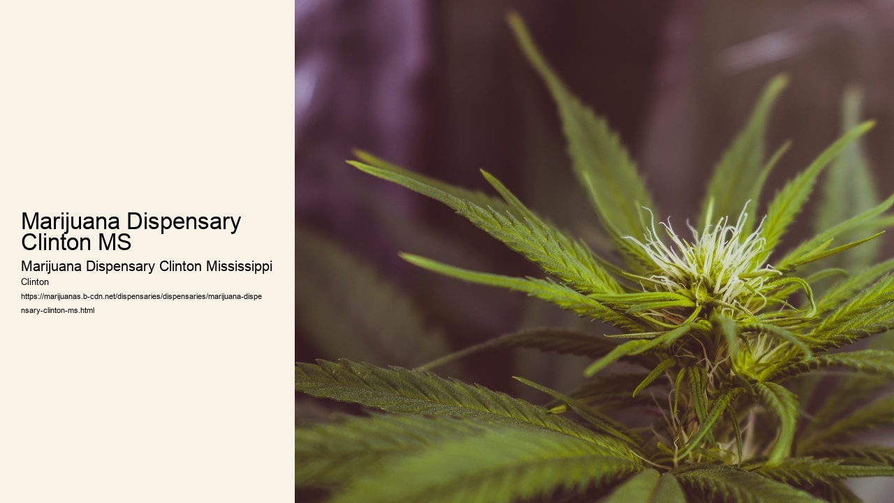 Marijuana Dispensary Clinton MS