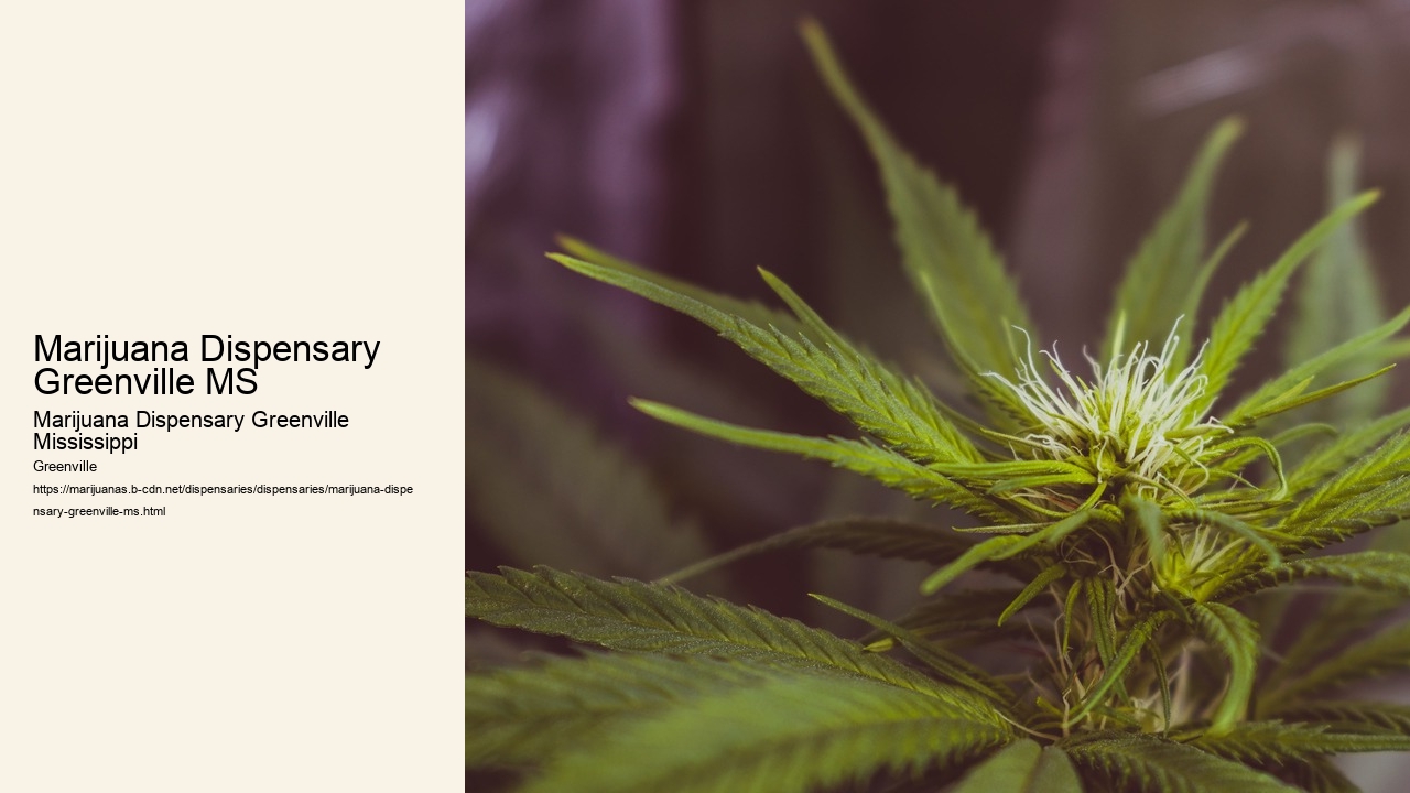 Marijuana Dispensary Greenville MS