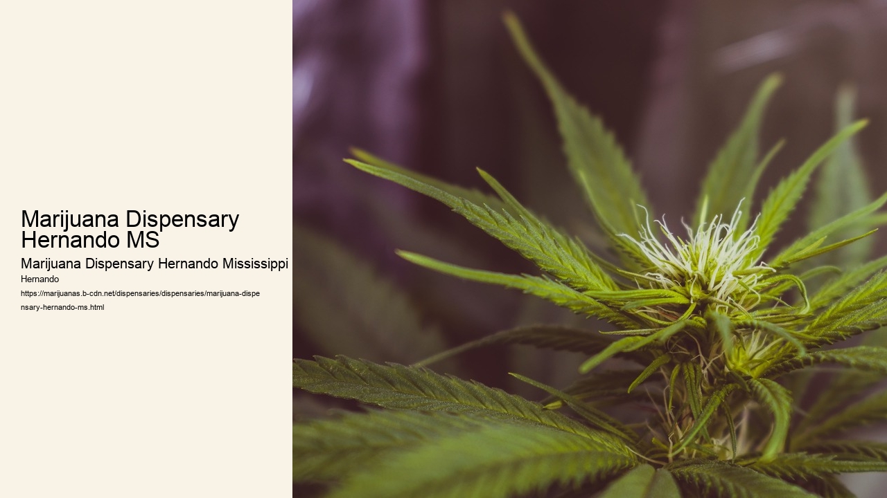 Marijuana Dispensary Hernando MS