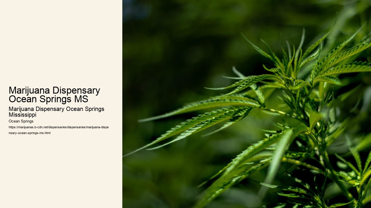Marijuana Dispensary Ocean Springs MS